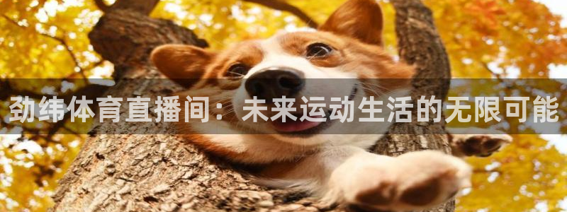 柠檬jrs直播：劲纬体育直播间：未来运动生活的无限可能