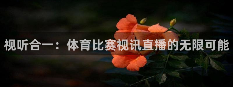 柠檬足球nba直播：视听合一：体育比赛视讯直播的无限可能