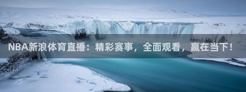 柠檬体育直播网址：NBA新浪体育直播：精彩赛事，全面观看，赢在当下！
